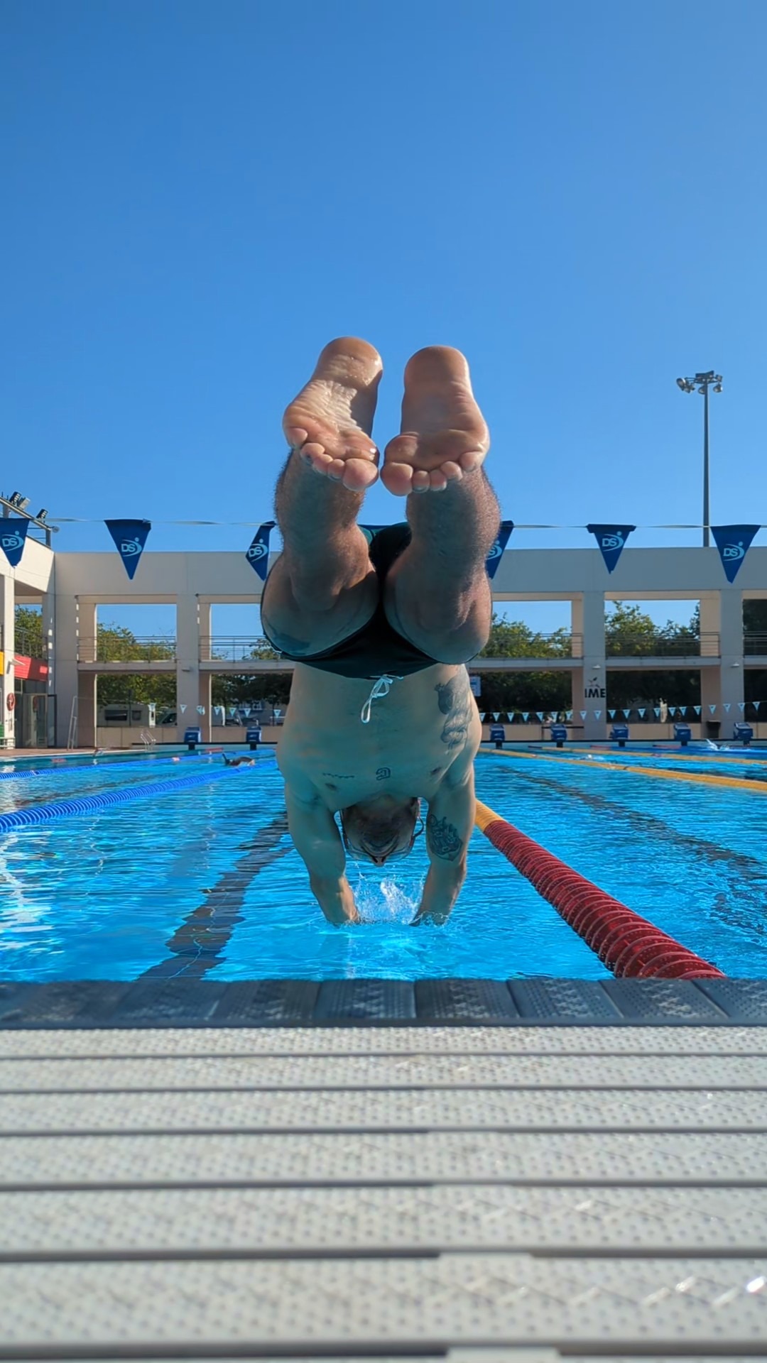 Avatar de Alejandro Hernández Marcos