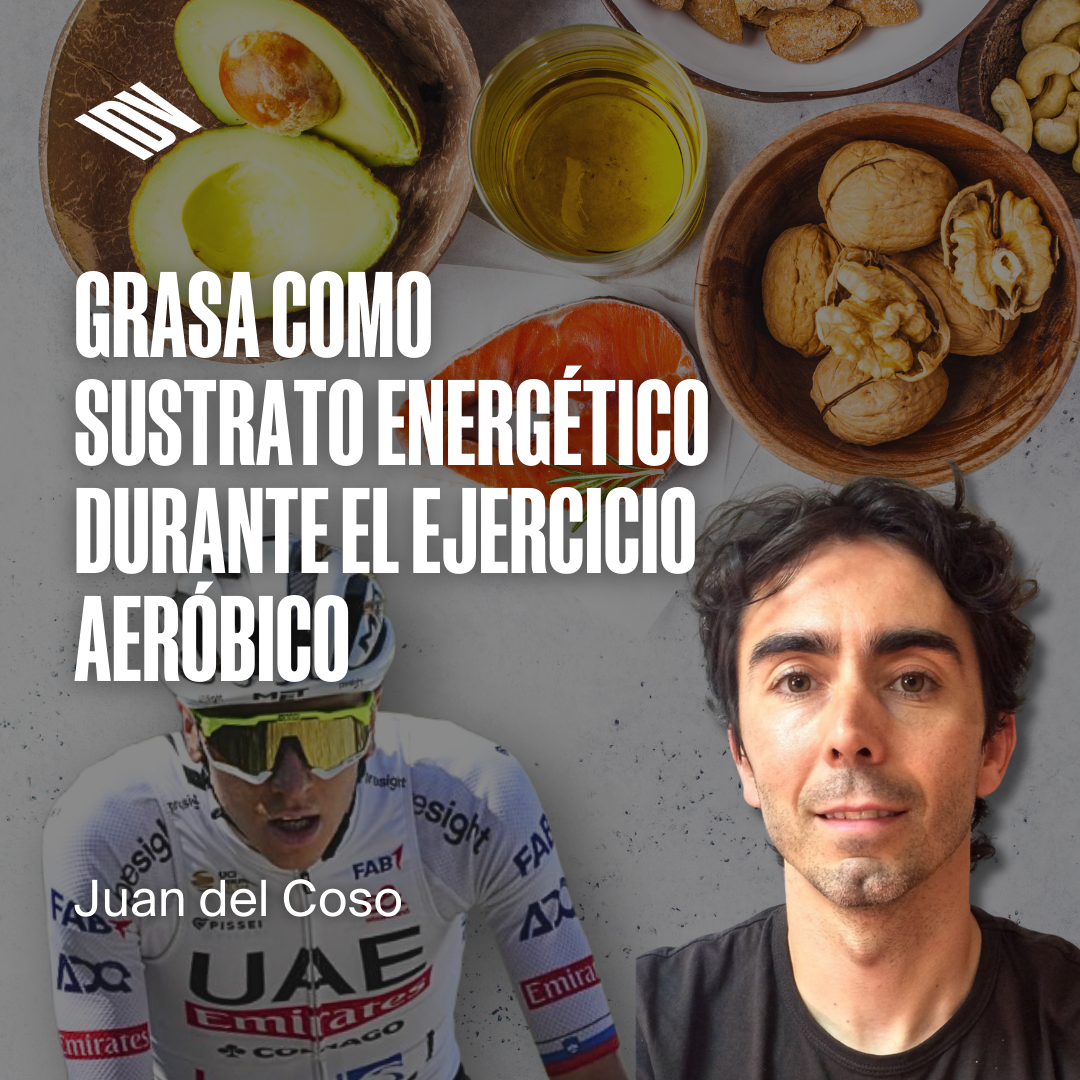 Estrategias para maximizar la utilización de grasa como sustrato energético durante el ejercicio aeróbico